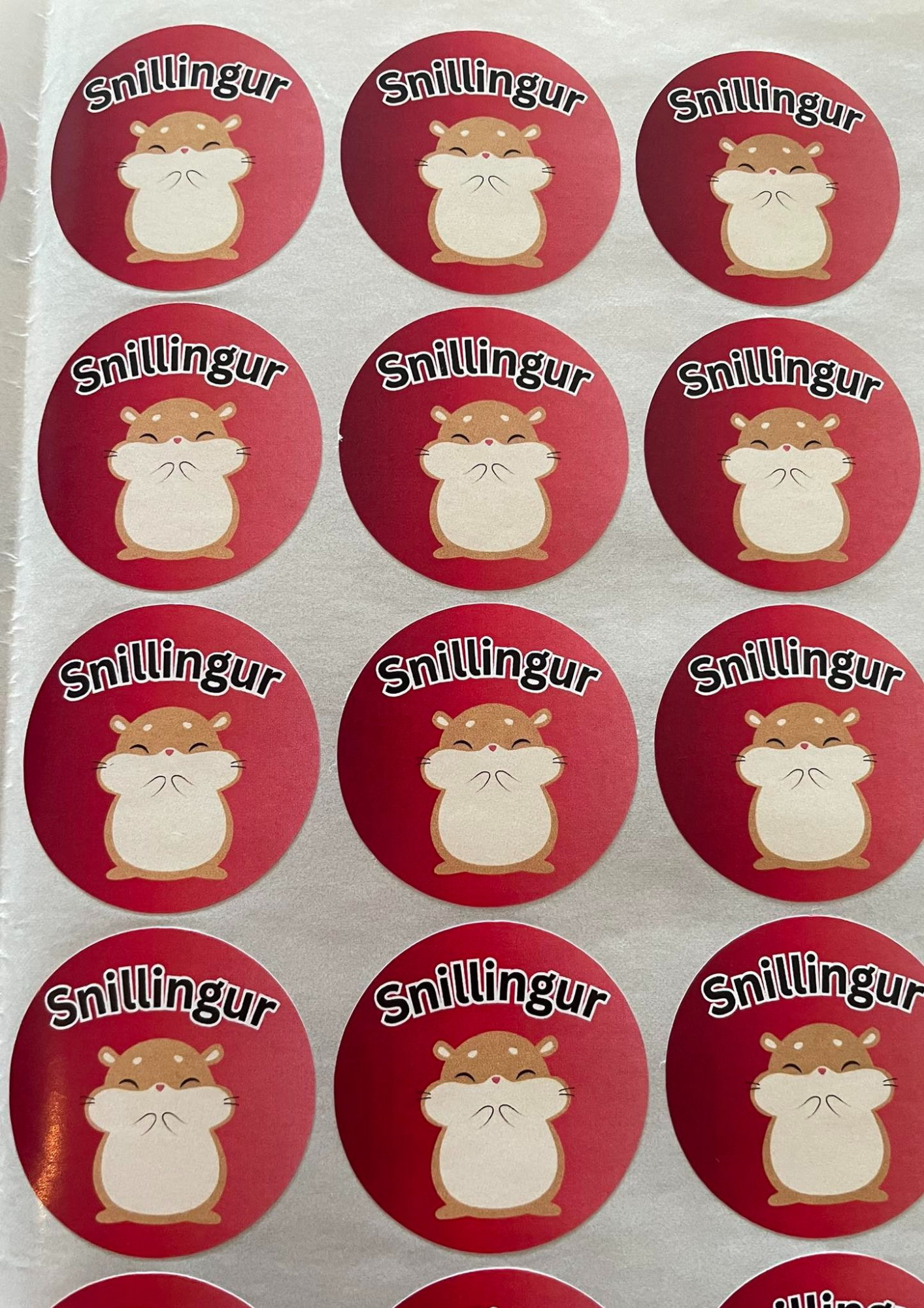 Hamstra límmiðar -snillingur-