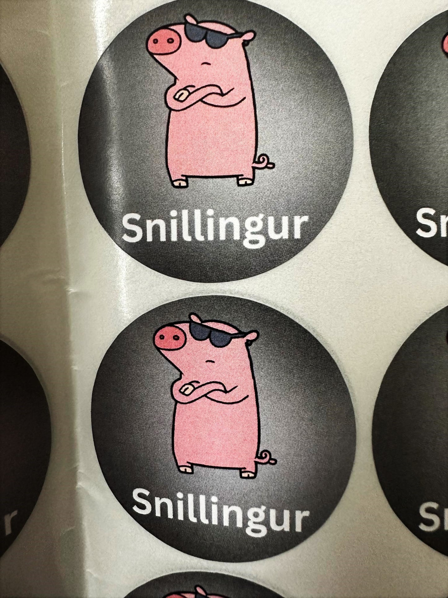Svína límmiðar -snillingur-